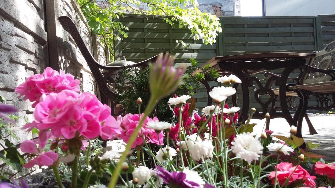 Apartamenty Krzywe Okna Zielona Gora  Bagian luar foto